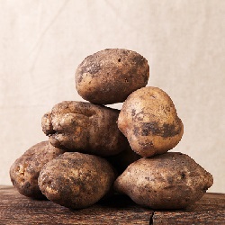 Картофель семенной Лорх 3 кг фото